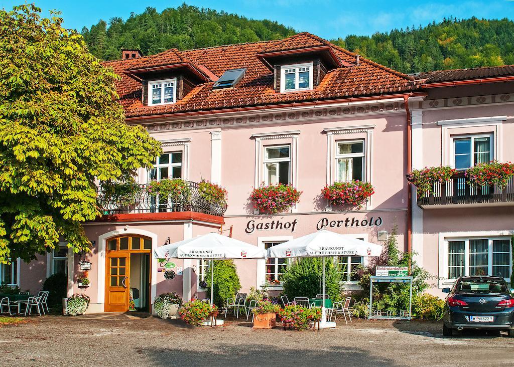 Gasthof Zum Niederhaus - Familie Perthold Hotel Sankt Aegyd am Neuwalde Buitenkant foto